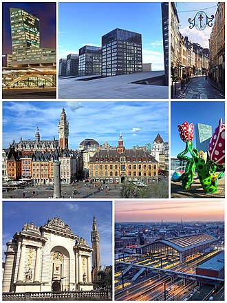 Vue de Lille